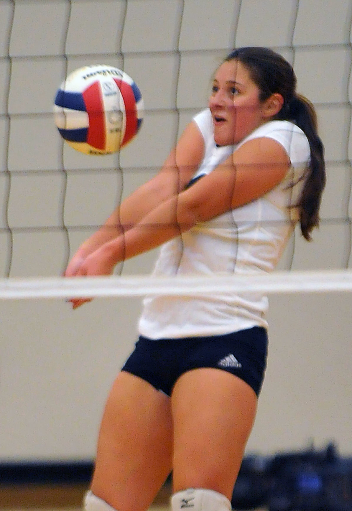 Orion vs El Paso Sectional volleyball tournament